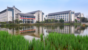 中国工程科技发展战略海南研究院咨询研究项目在我校启动